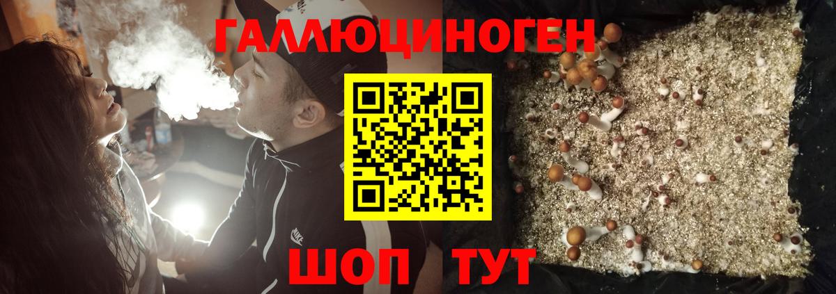 Псилоцибиновые грибы мицелий Кингисепп