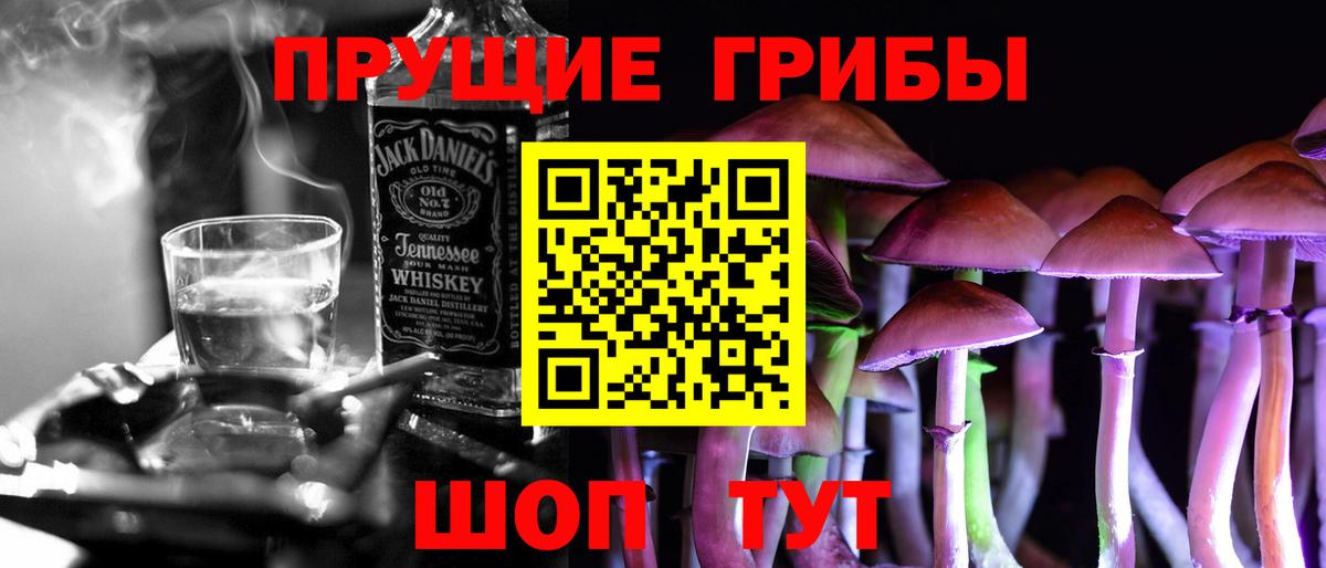 Кингисепп  Псилоцибиновые грибы Psilocybe  Вход с VPN 